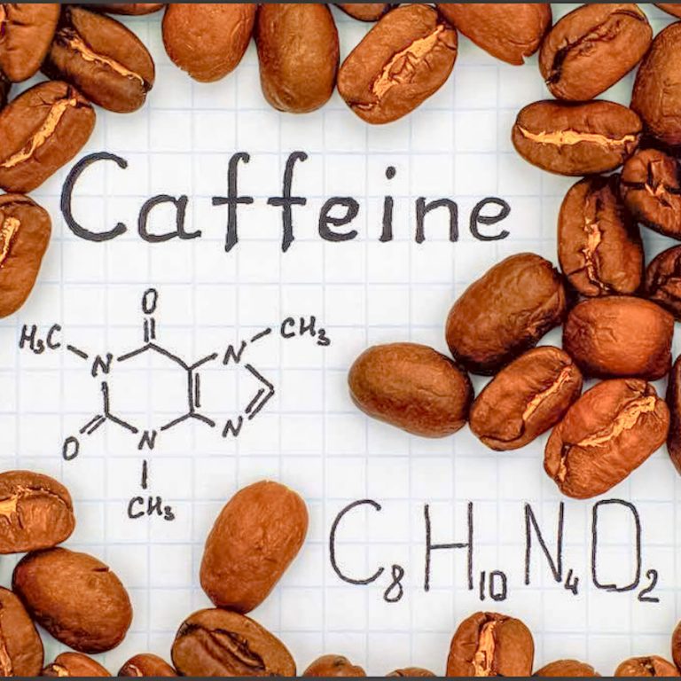Tìm hiểu cấu tạo quả cà phê – thành phần và hương vị của quả café ...